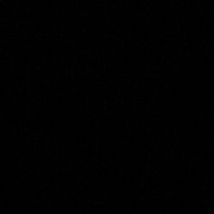 Meet your Posher, Delbert